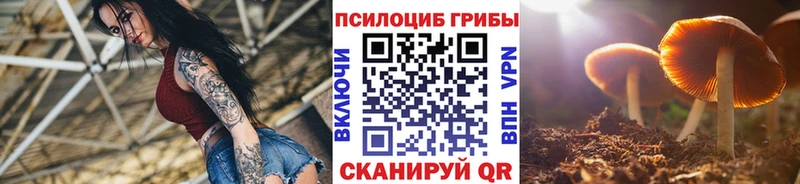 Псилоцибиновые грибы Magic Shrooms blacksprut ТОР Красавино