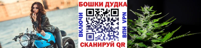 Конопля SATIVA & INDICA  купить наркоту  Красавино 
